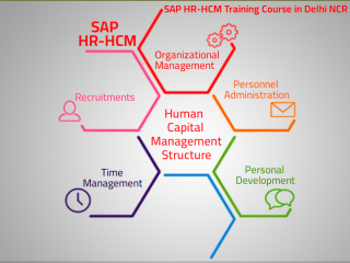 SAP HR Training Course by SLA Institute, Delhi, Best Sept'23 Offer 100% Job, Free Demo Classes,