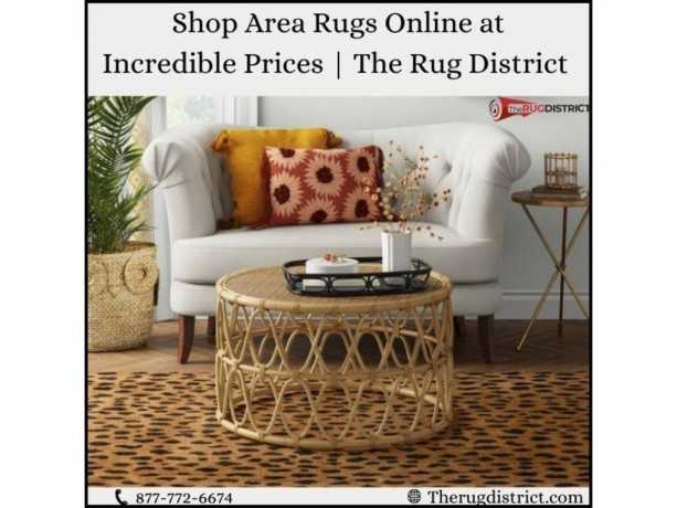 shop-area-rugs-online-at-incredible-prices-big-0