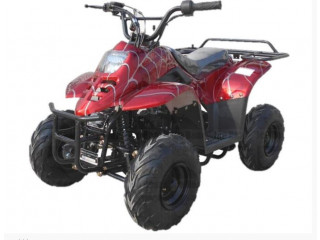 New icebear dyno 110cc youth atv